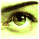 Arkshine's Avatar